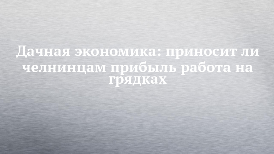 Дачная экономика: приносит ли челнинцам прибыль работа на грядках