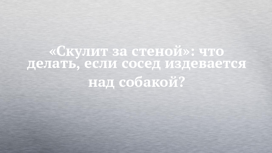 Лает собака у соседей: что делать, если беспокоит шум от животных | Роскачество