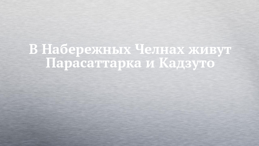 В Набережных Челнах живут Парасаттарка и Кадзуто