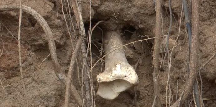 В Татарстане дачники регулярно находят на своих участках человеческие кости