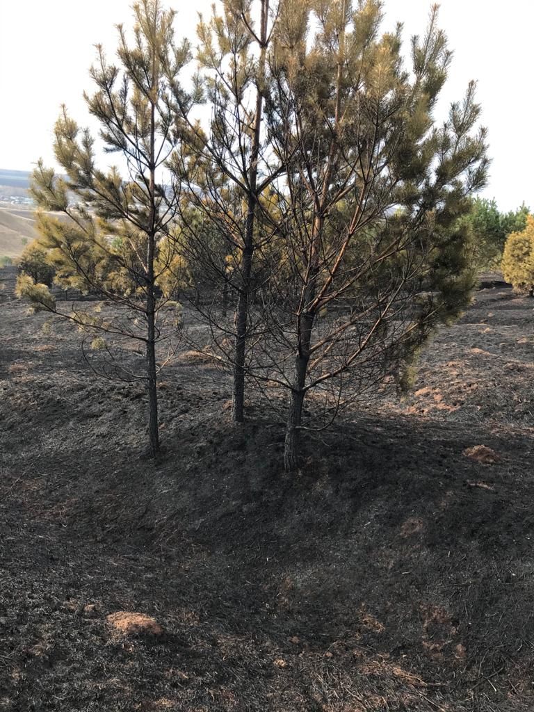 Крупный пожар произошел в Тукаевском районе на сельхозугодиях Виталия Касакина 