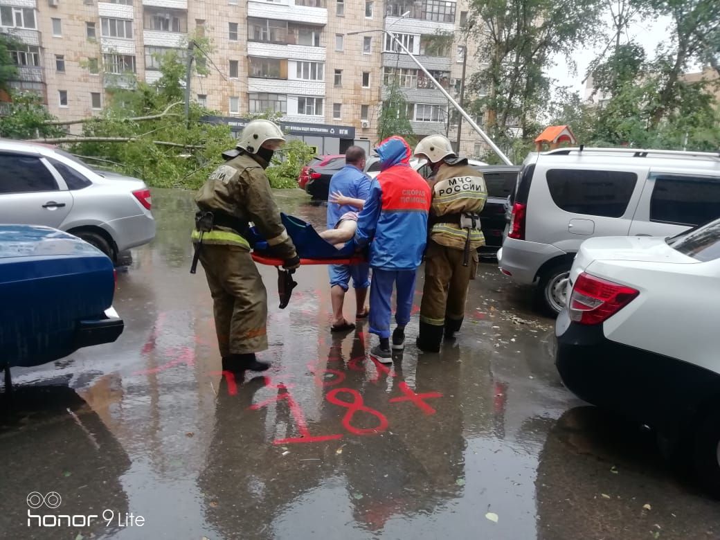 В Татарстане во время сильного ветра дерево упало на двух женщин и ребенка