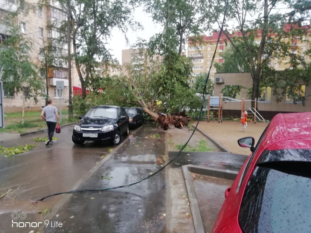 В Татарстане во время сильного ветра дерево упало на двух женщин и ребенка