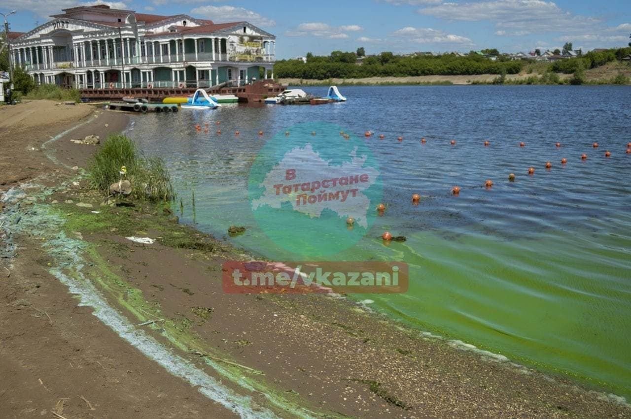 В Набережных Челнах вода в Каме окрасилась в зеленый цвет | 08.07.2021 |  Набережные Челны - БезФормата