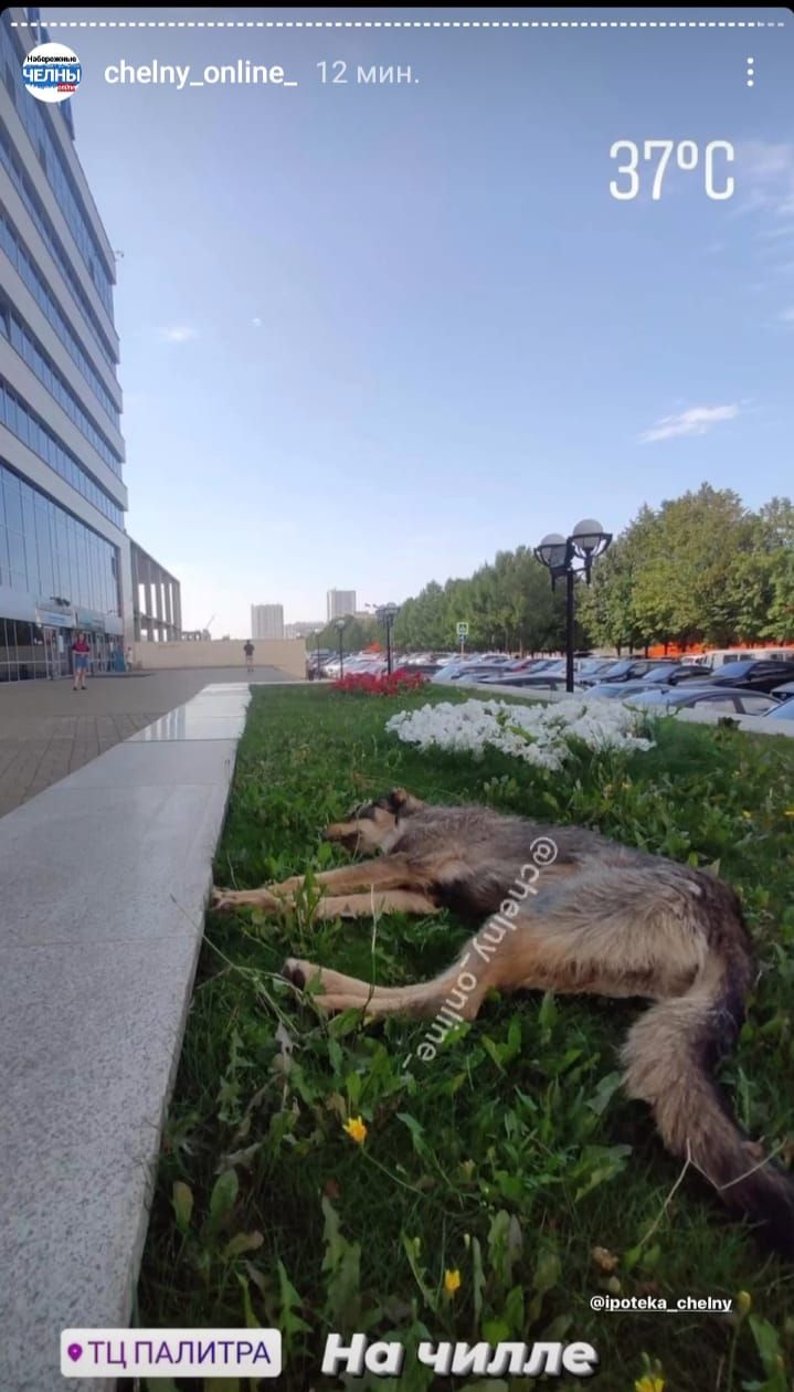 Жители Набережных Челнов делятся в соцсетях фотографиями своих термометров