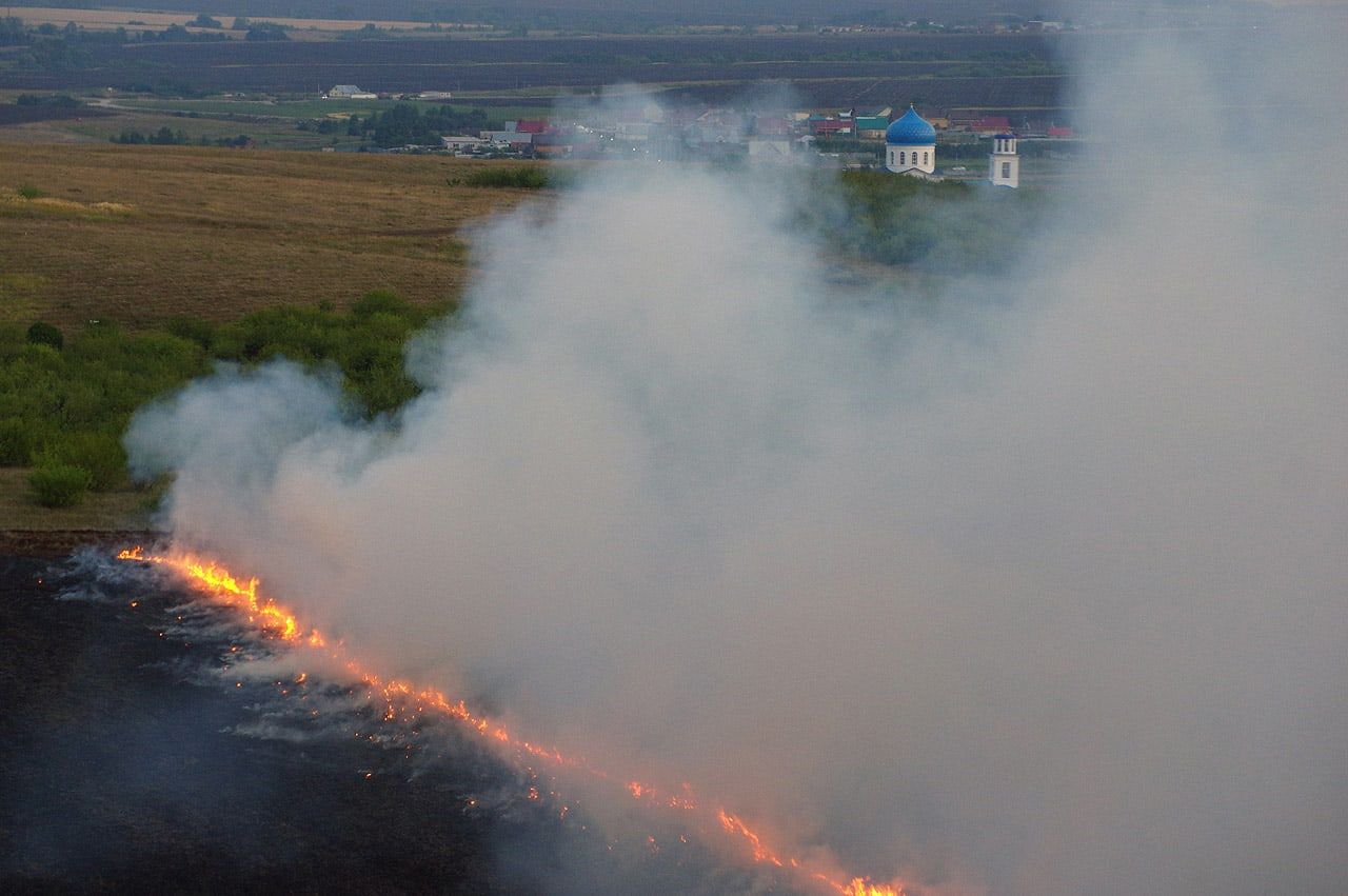 Известный фотограф рассказал, как тушили природный пожар под Набережными Челнами