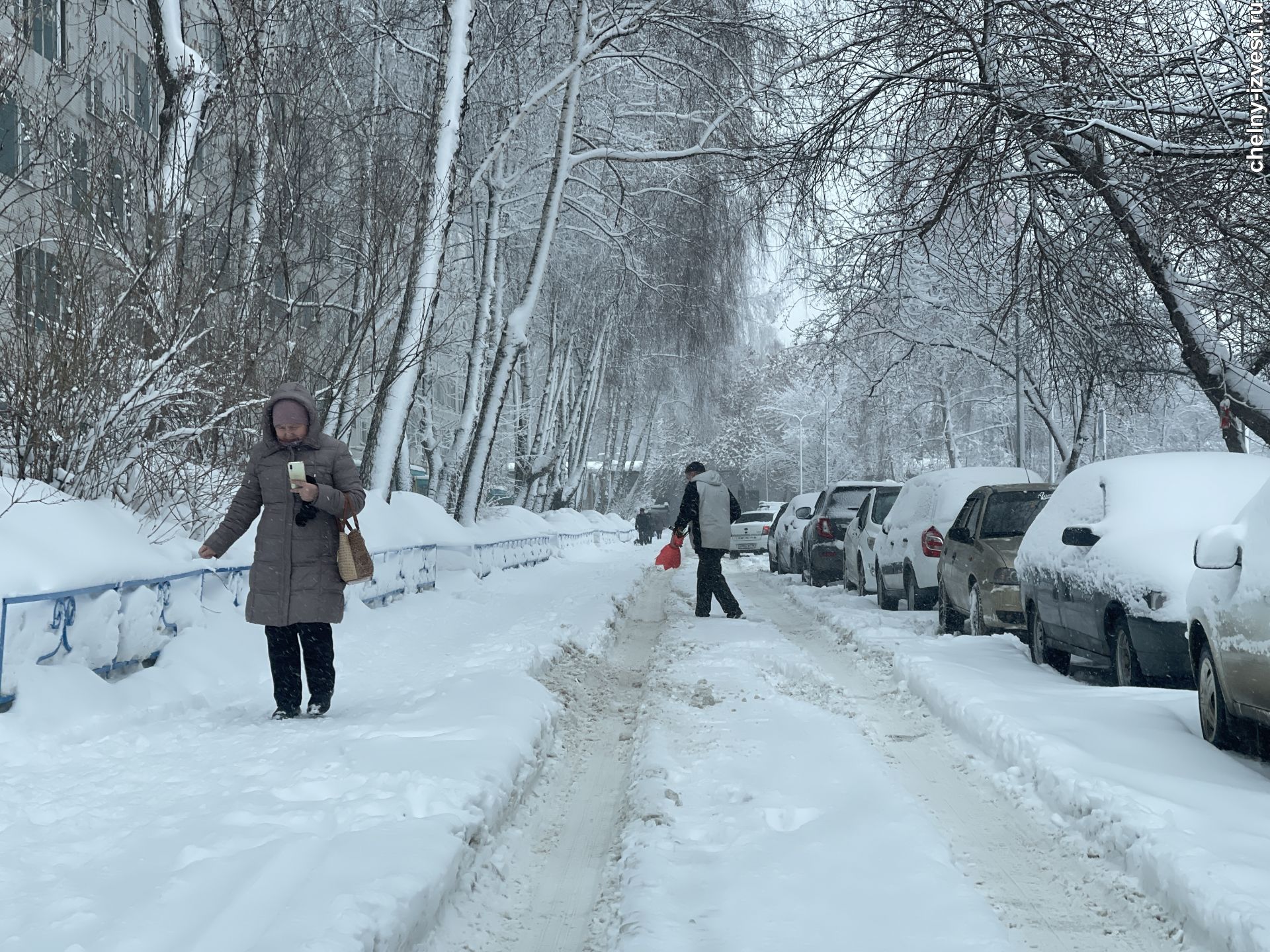 Все за лопаты!