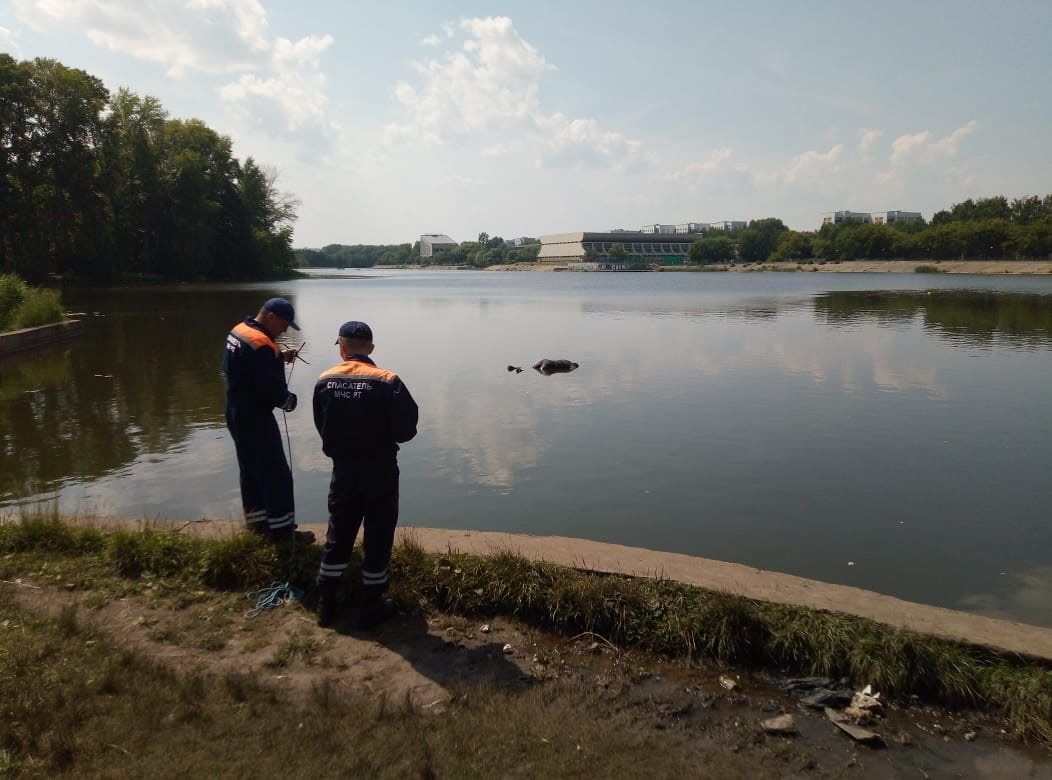 Полиция Челнов установила личность всплывшего утопленника | 13.07.2022 |  Набережные Челны - БезФормата