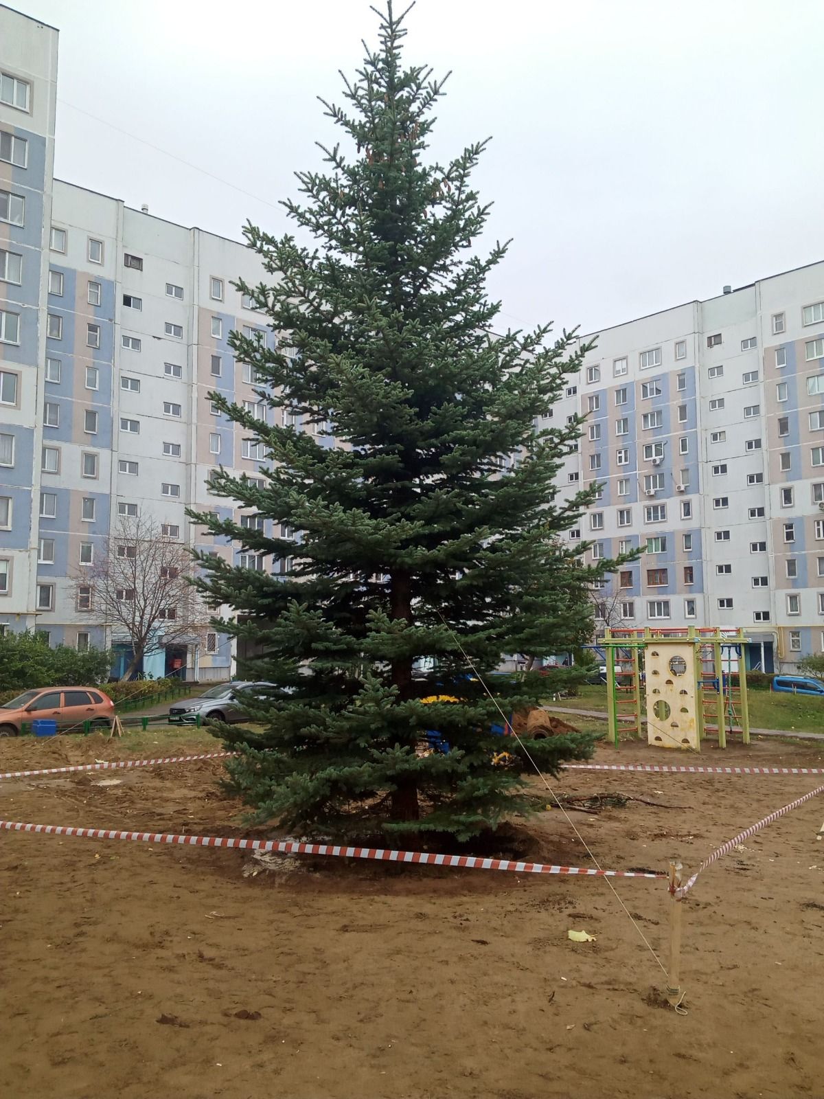 В Челнах жильцы 38 комплекса нарядили во дворе живую 12-метровую ель