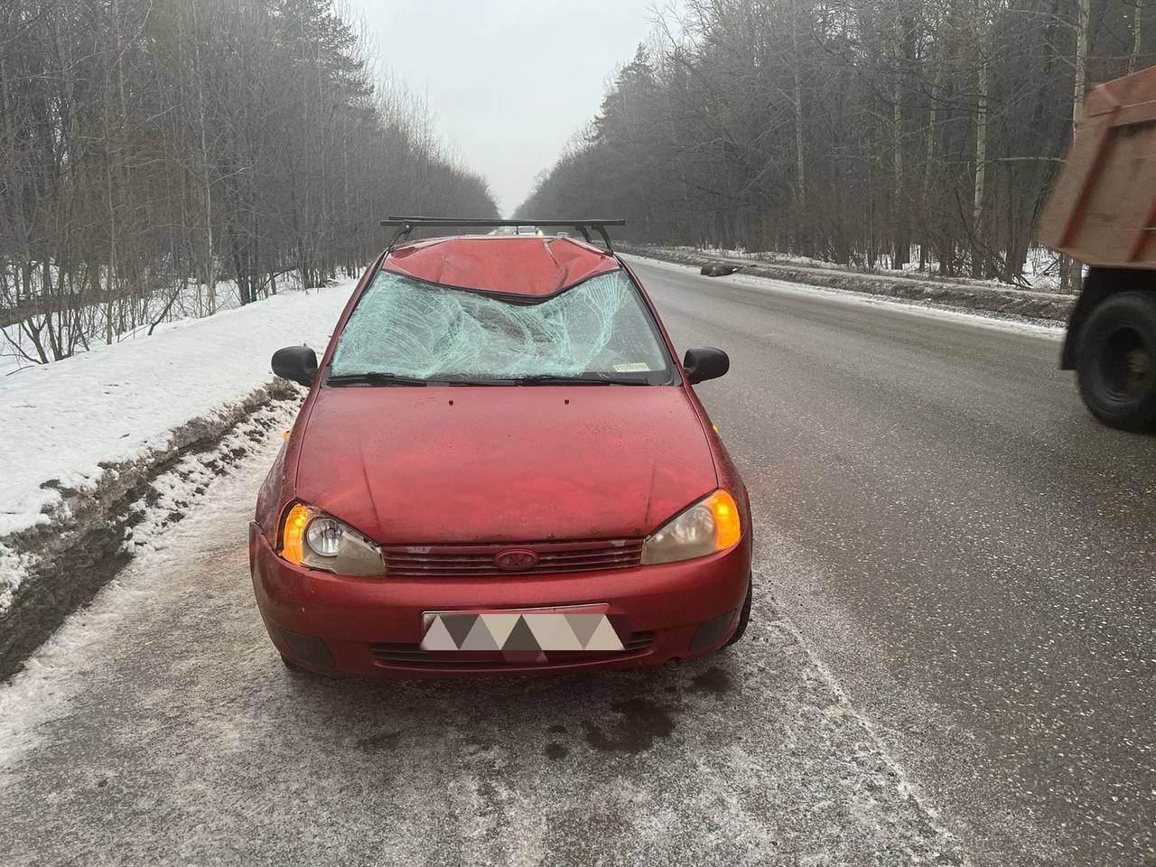 Смертельная встреча: в Татарстане лось выскочил на дорогу перед автомобилем