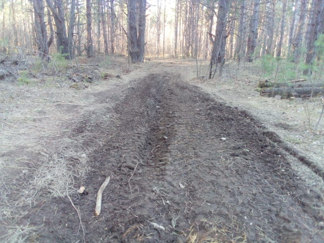 Фото сломанной автодороги в лесу