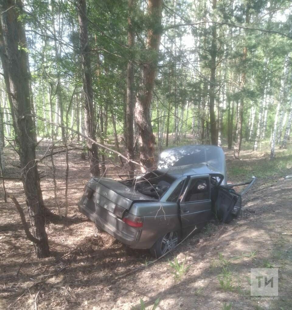 В Татарстане автомобиль влетел в дерево: водитель погиб на месте |  29.05.2023 | Набережные Челны - БезФормата