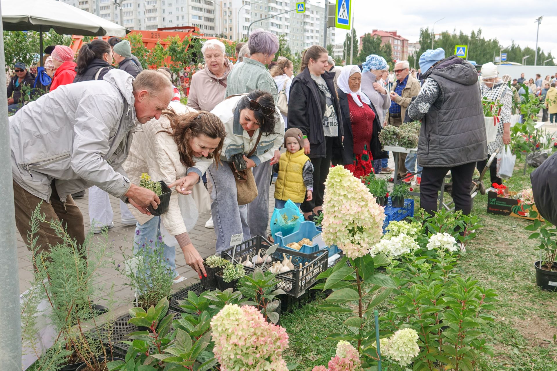 Проспект усеяли торговцы растениями