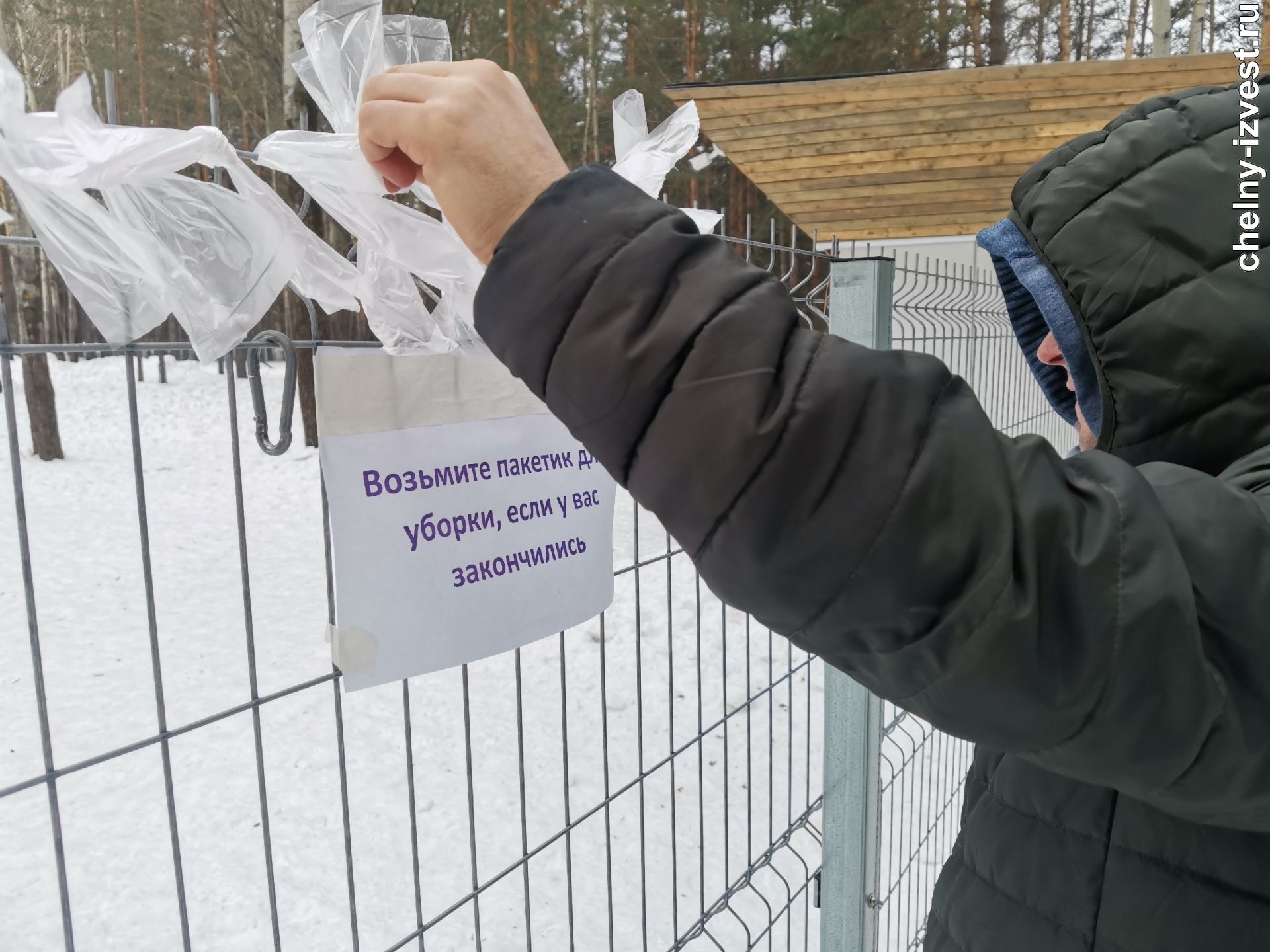 Ничего не изменилось»: владельцы собак высказались по поводу «фекального»  закона