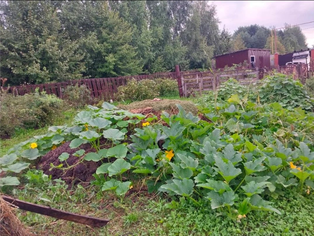 Одна из мер – кардинально поменять режим полива