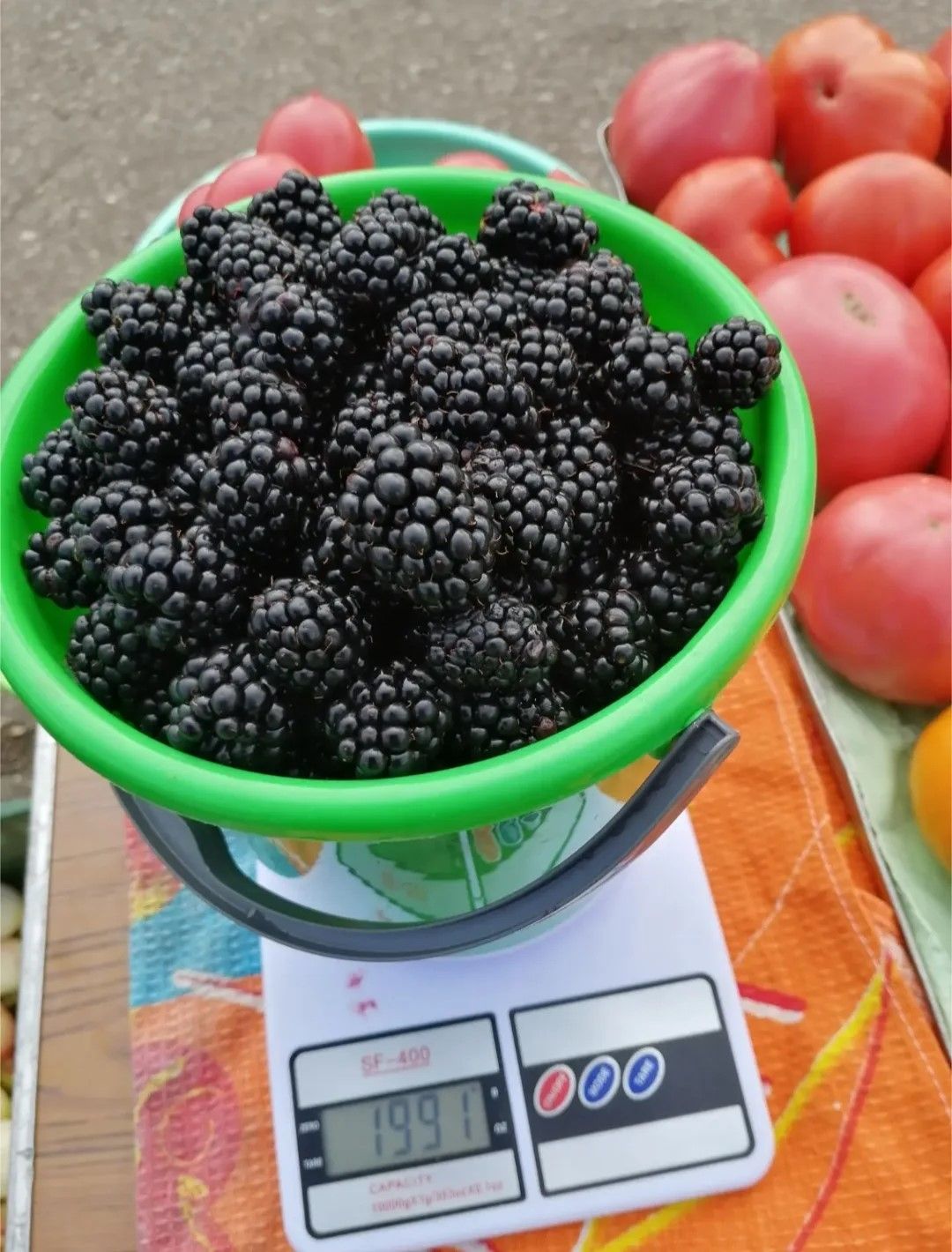 Из ежевики можно приготовить компот, варенье и открытый пирог