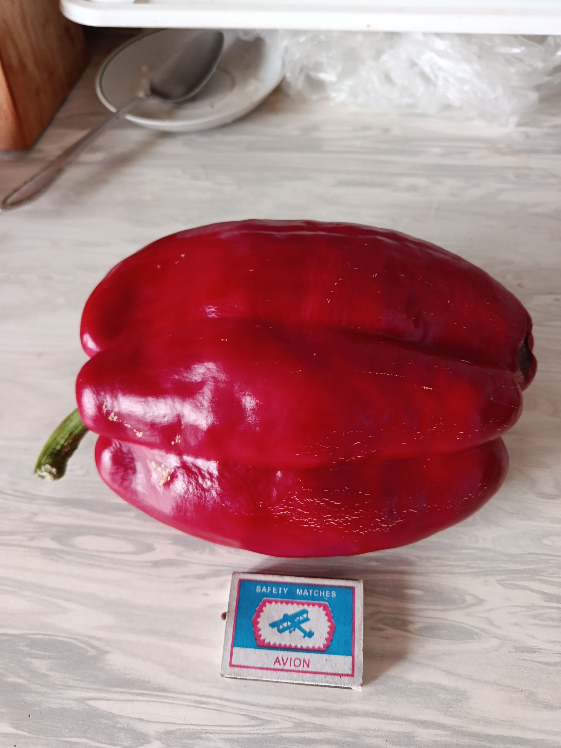 Перец Нинонны Григорьевой