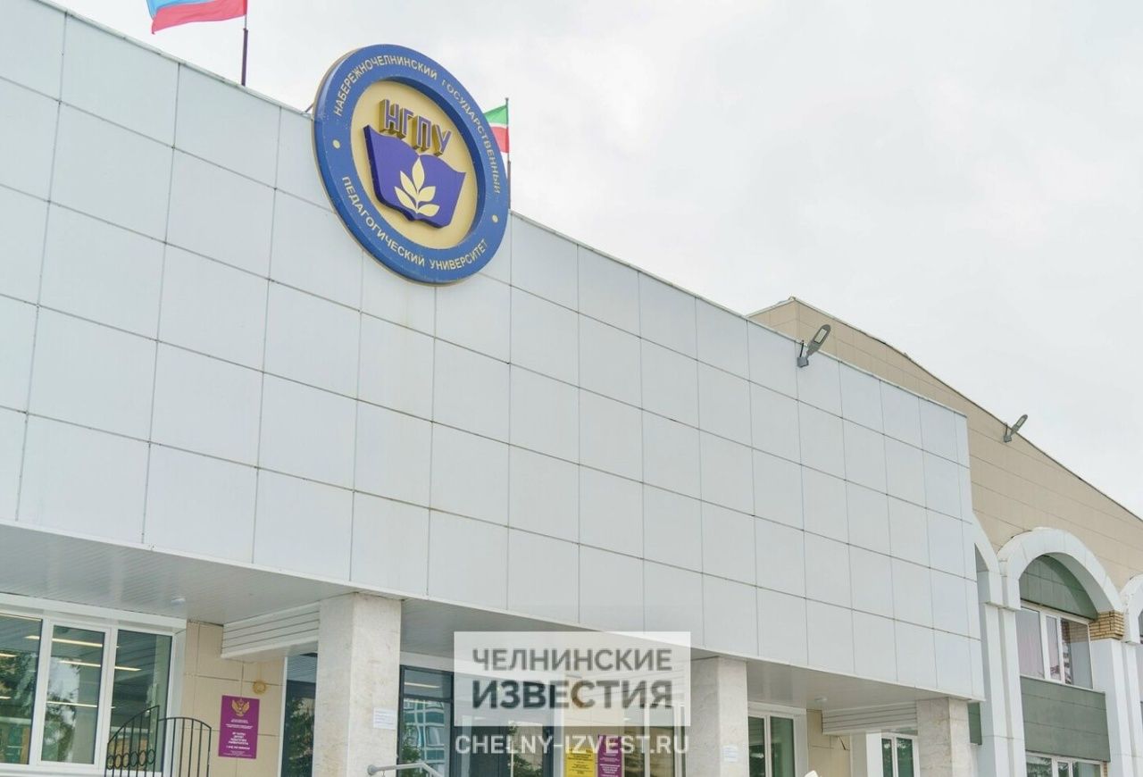 начинающим учителям ИЗО не хватает педагогической креативности