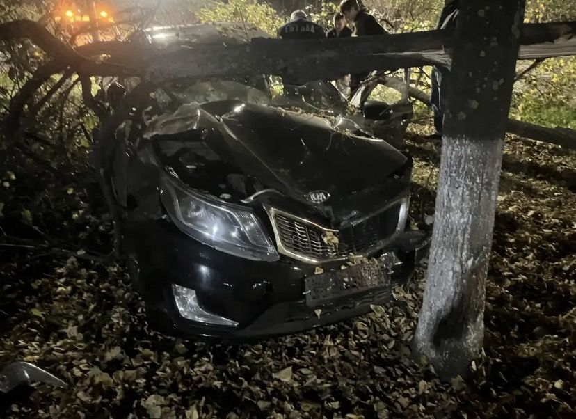 Водитель совершил наезд сначала на бордюрный камень, затем - на дерево