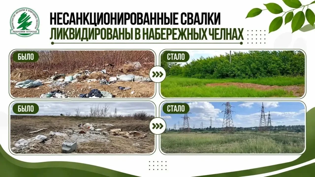Общая площадь свалок составила 138,46 квадратных метра