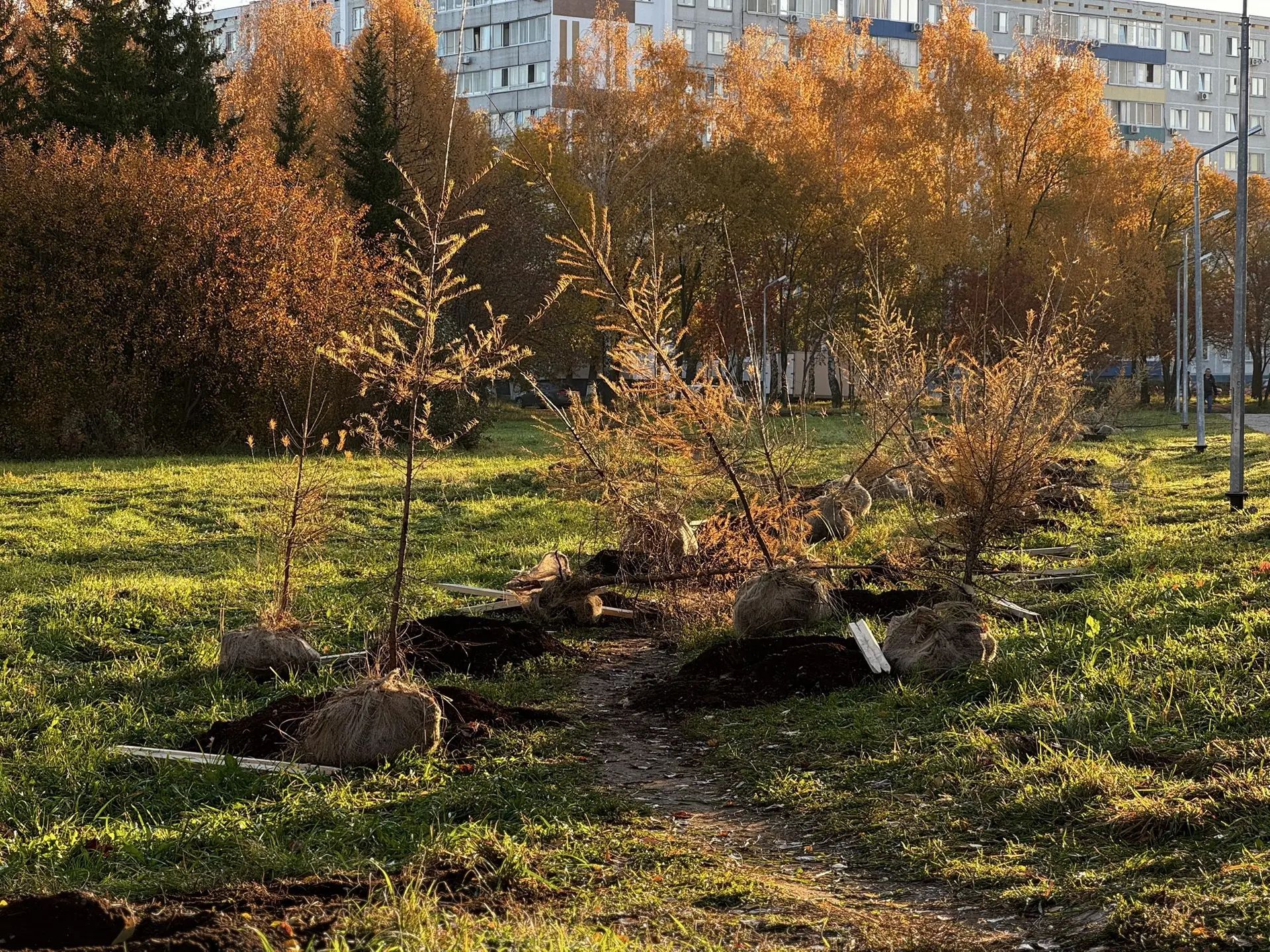 Субботник в Челнах 
