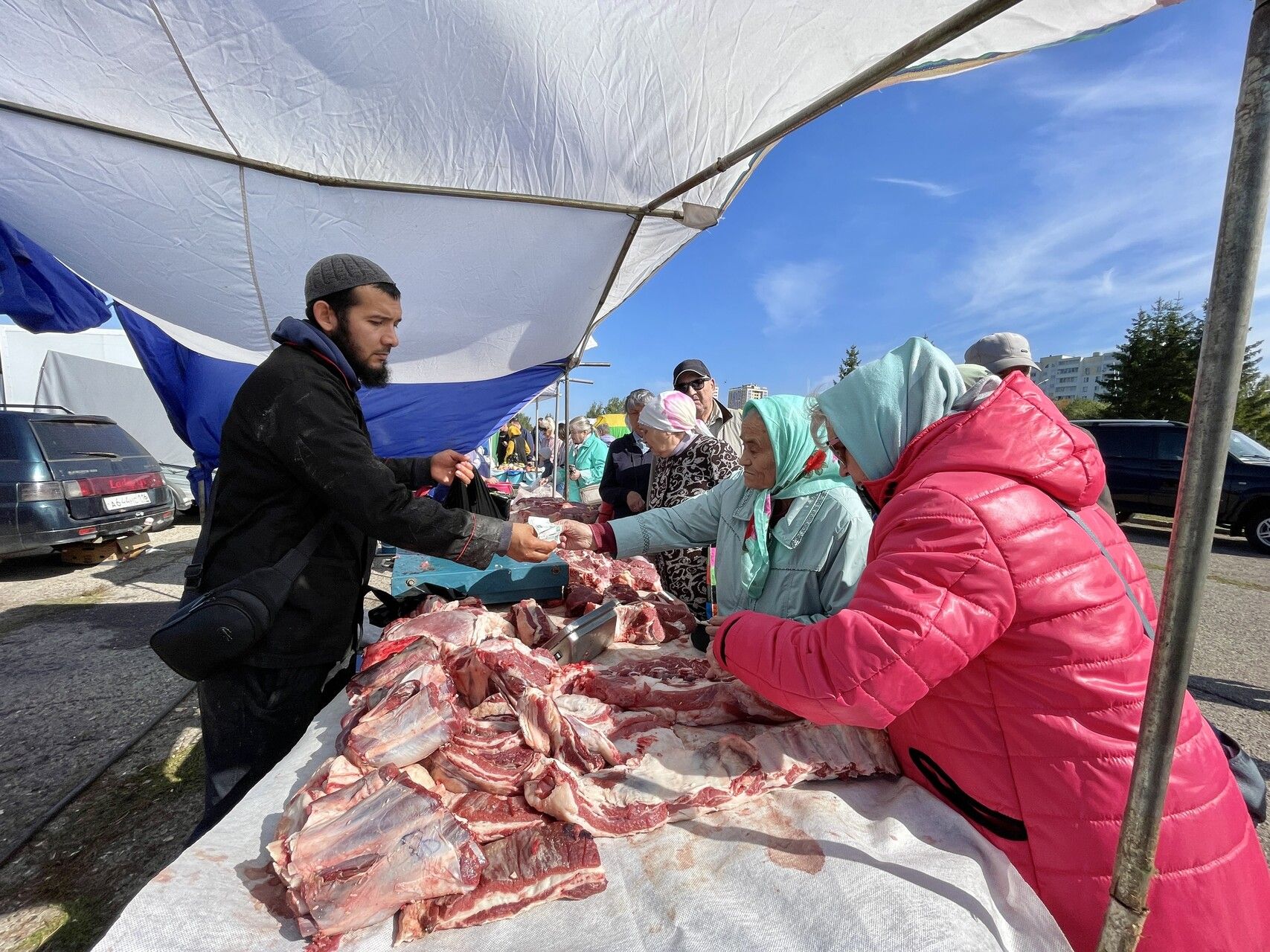 Поставки говядины выросли на 15,8% – до 345,2 тонны