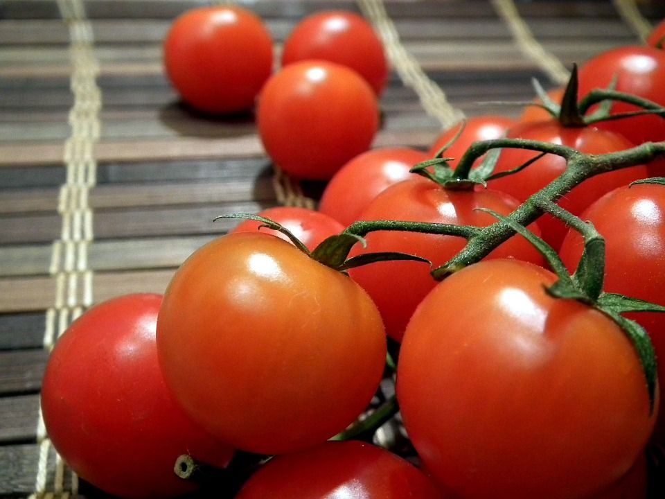 Эксперт из Татарстана рассказала о секретах обильного урожая томатов
