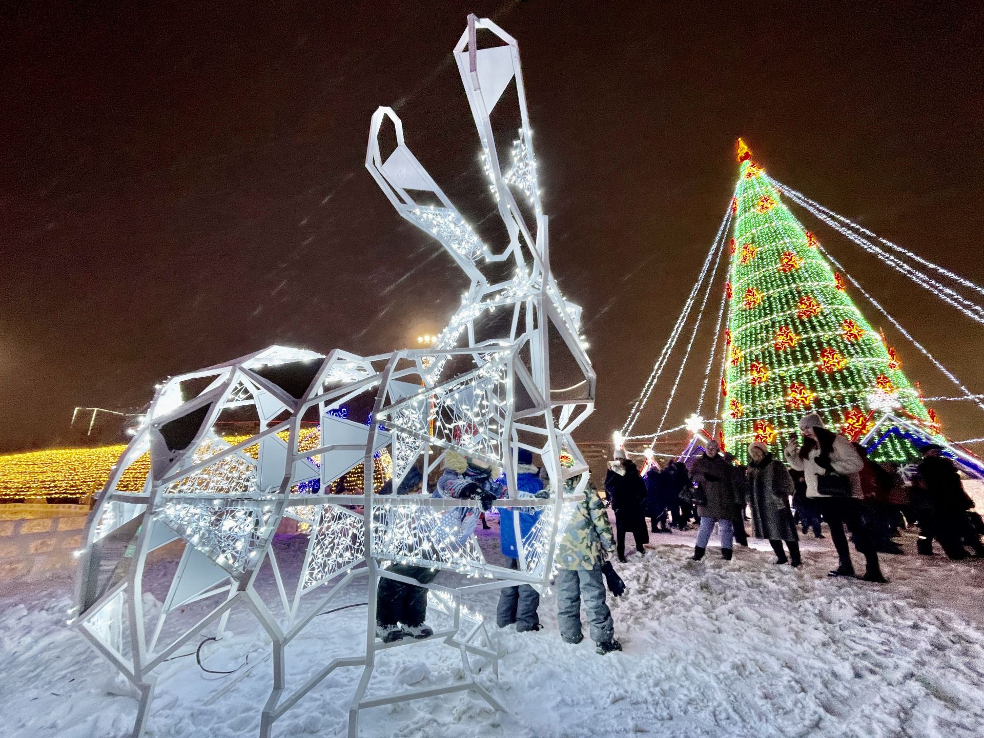 В Набережных Челнах открылась главная городская елка