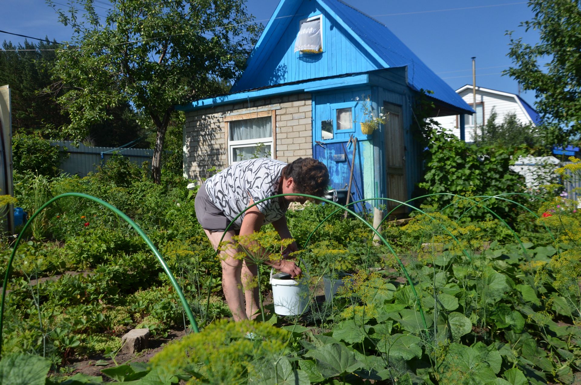 Скорую помощь в садовые общества Набережных Челнов чаще вызывают женщинам