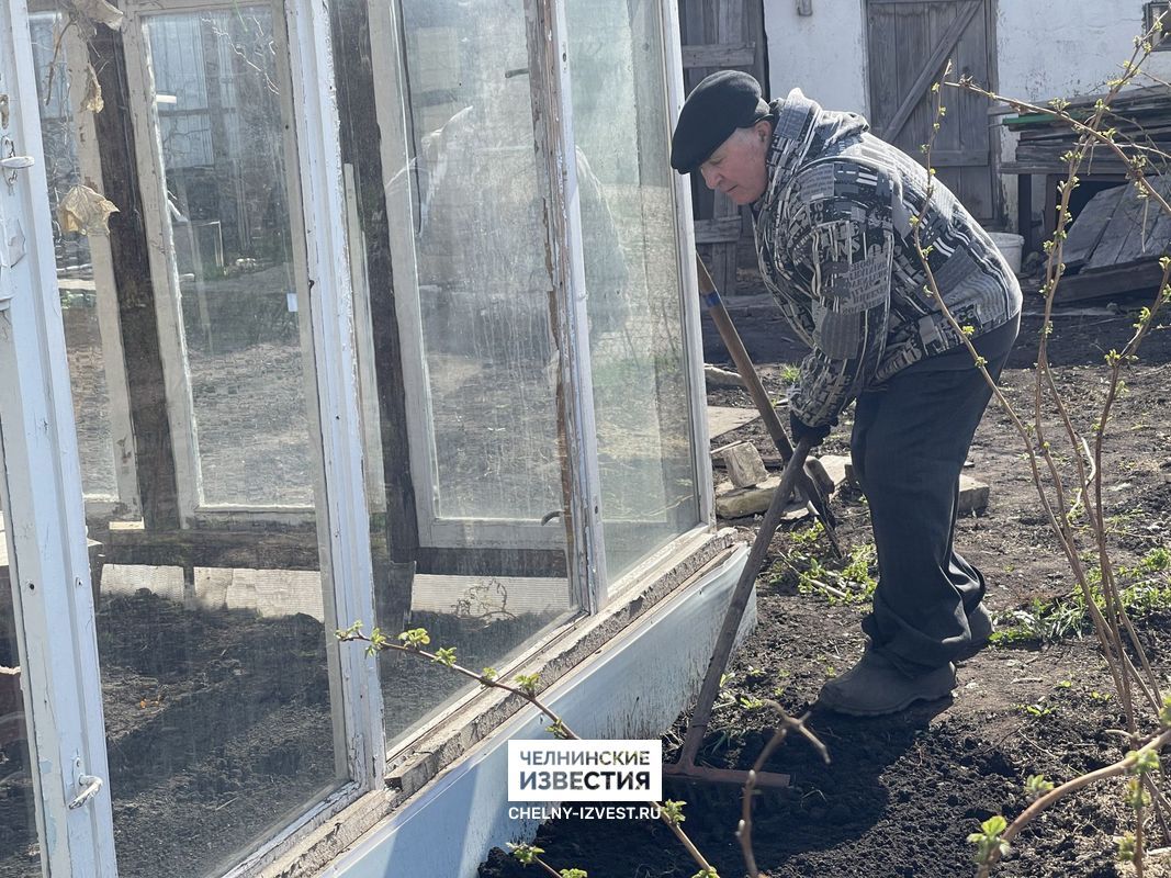 Купить Дачу В Любитель Природы
