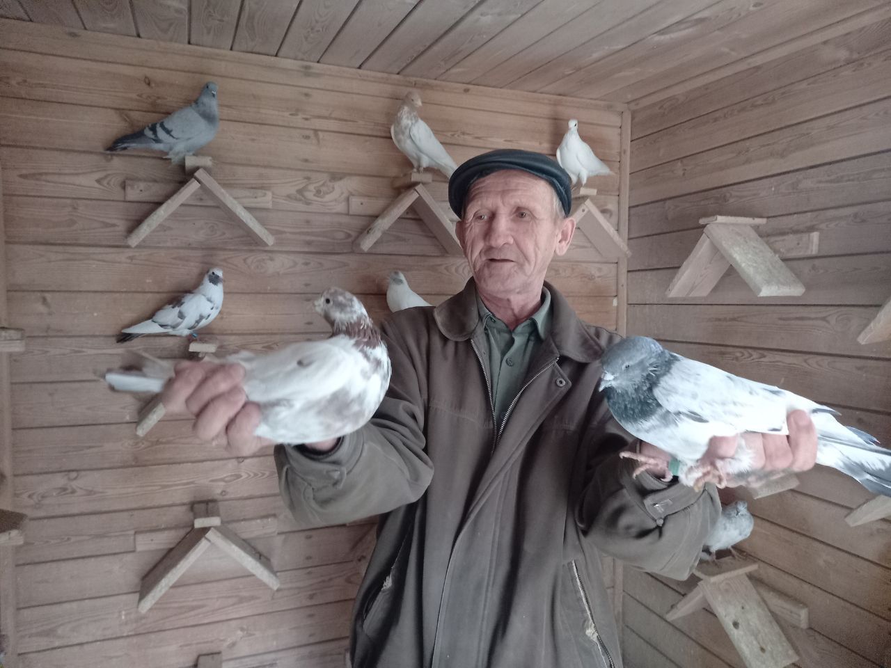 «Любовь и голуби»: как пенсионер из Челнов правит царством пернатых