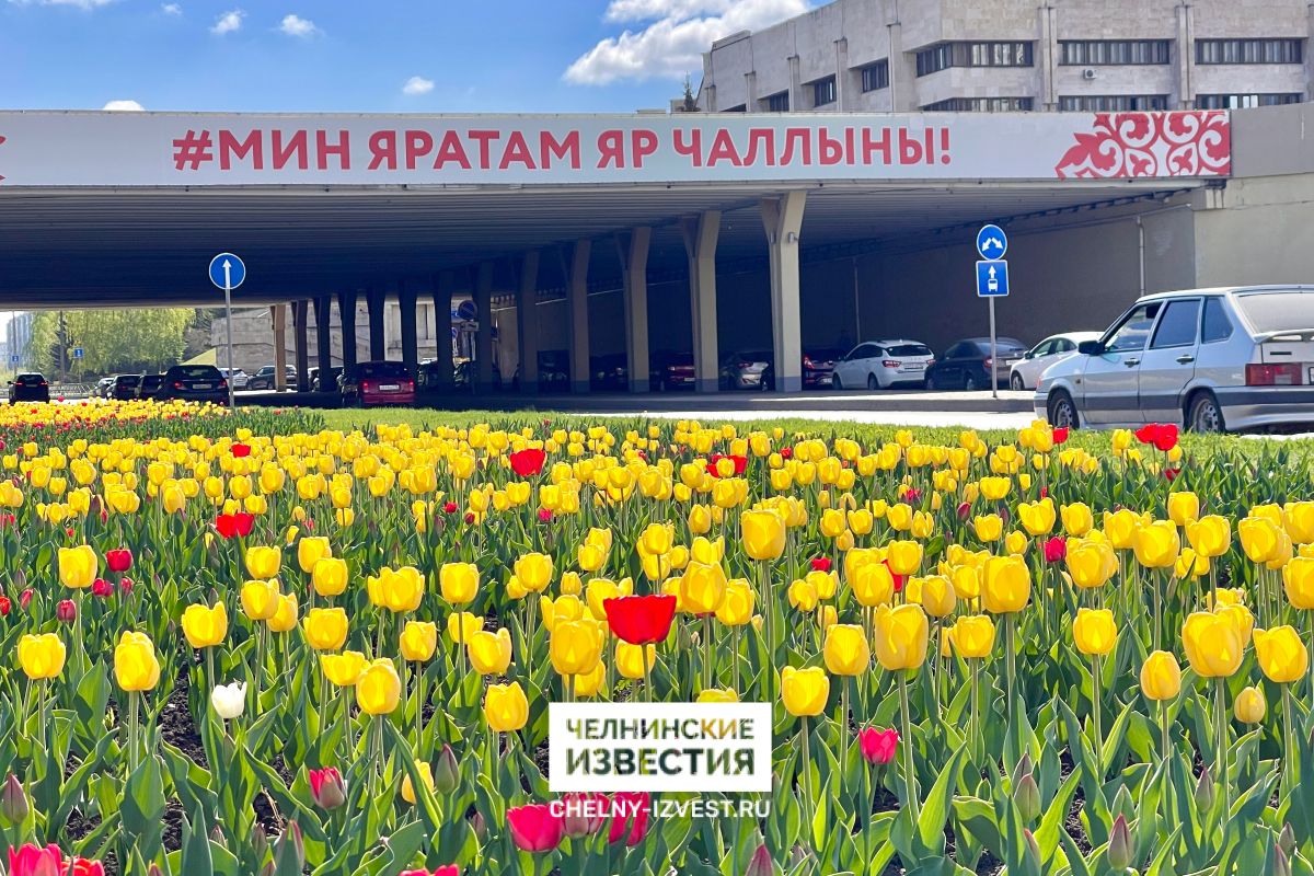 В Татарстан придет июльская жара