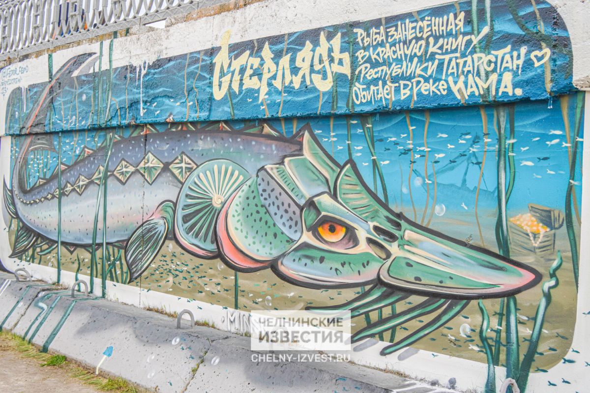 В Челнах 29 граффити украсили стену городской набережной