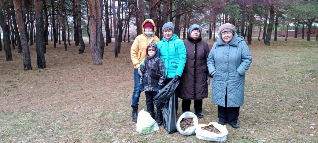 С шишками и прополисом: в Челнах делают ароматизированные свечи для фронта