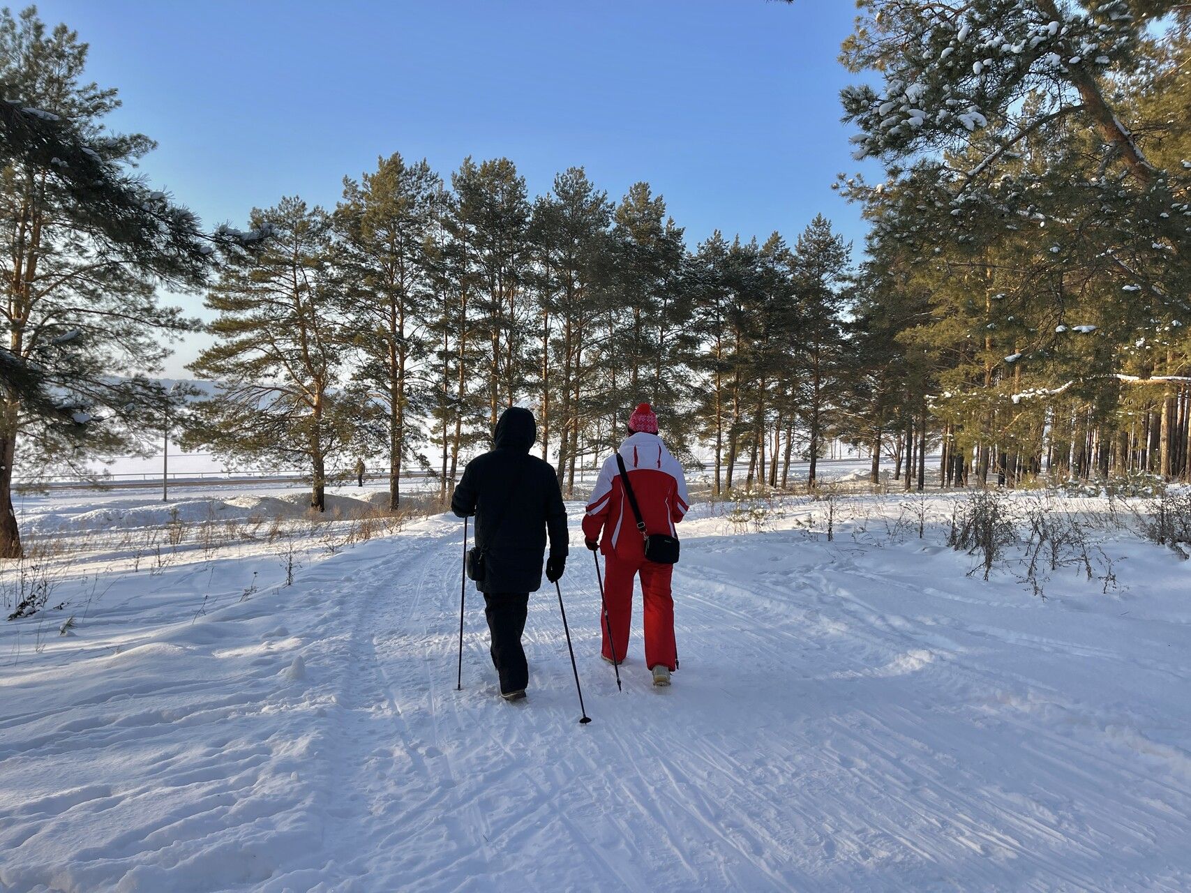 Правильная обувь + ледоступы: как пенсионерам безопасно гулять на улице зимой