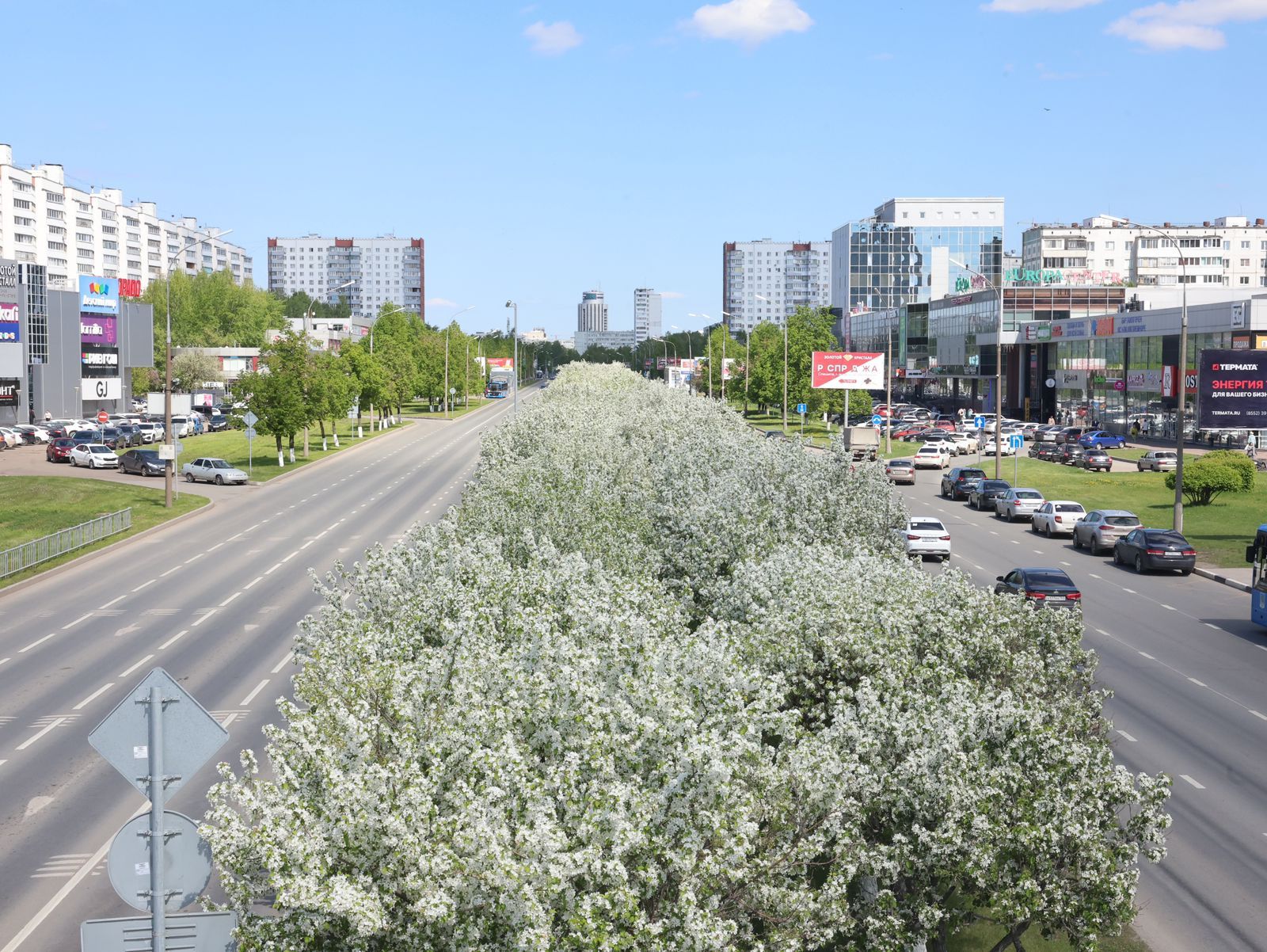 30 кадров цветущих Челнов: Наиль Магдеев опубликовал фоторепортаж