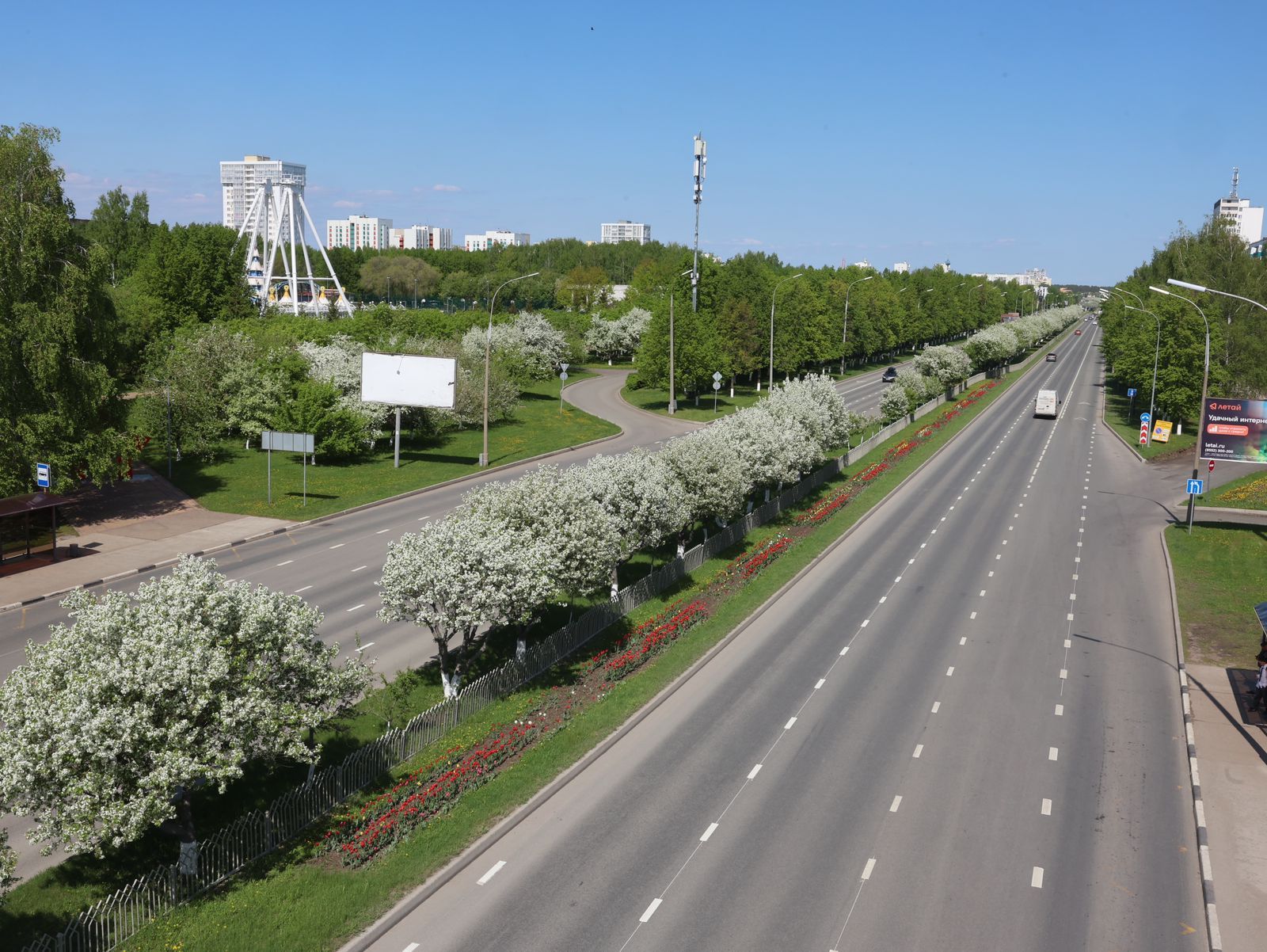 30 кадров цветущих Челнов: Наиль Магдеев опубликовал фоторепортаж