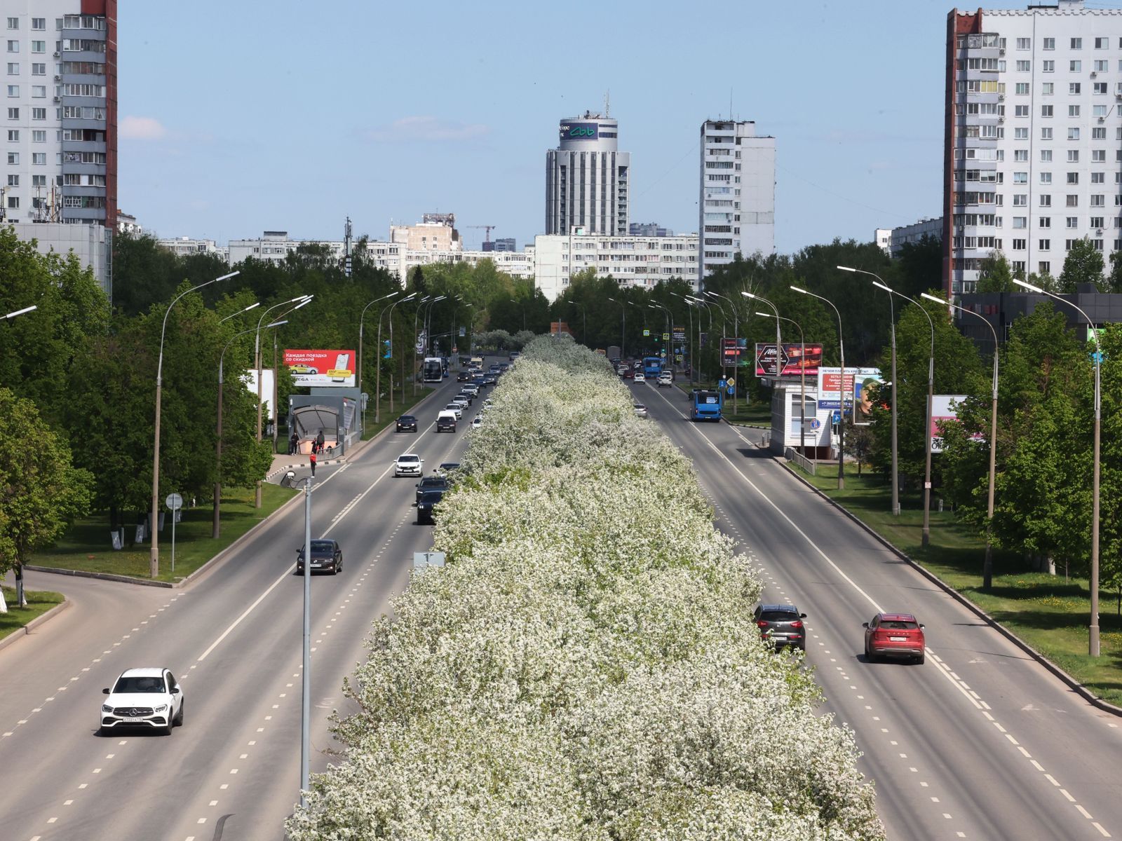 30 кадров цветущих Челнов: Наиль Магдеев опубликовал фоторепортаж