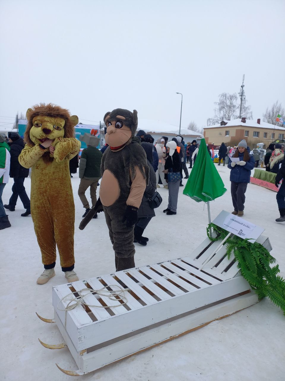 Фото: чем удивил челнинцев фестиваль креативных санок в Мамадыше