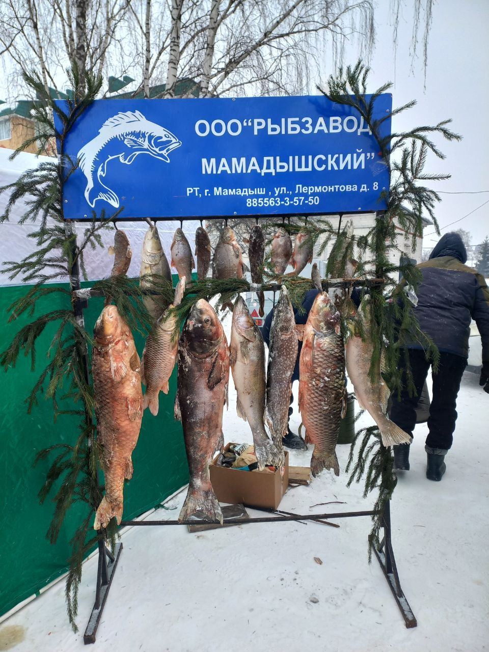 Фото: чем удивил челнинцев фестиваль креативных санок в Мамадыше