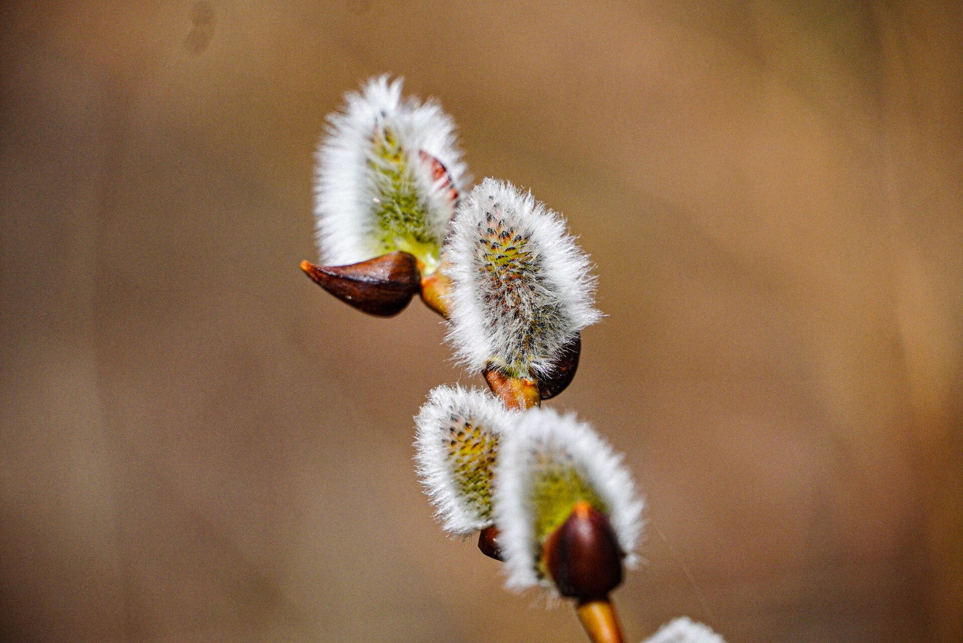 Весенний пейзаж Татарстана