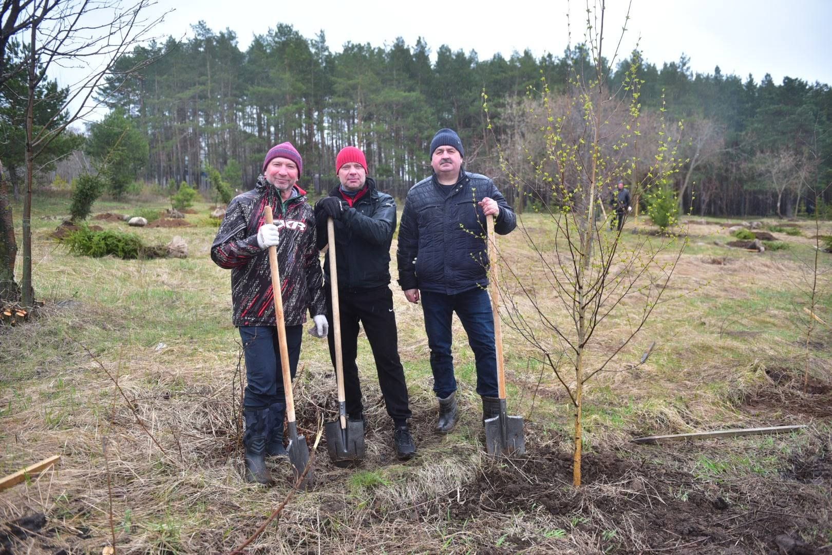 В Челнах на субботнике высадили 300 деревьев, несмотря на дождь