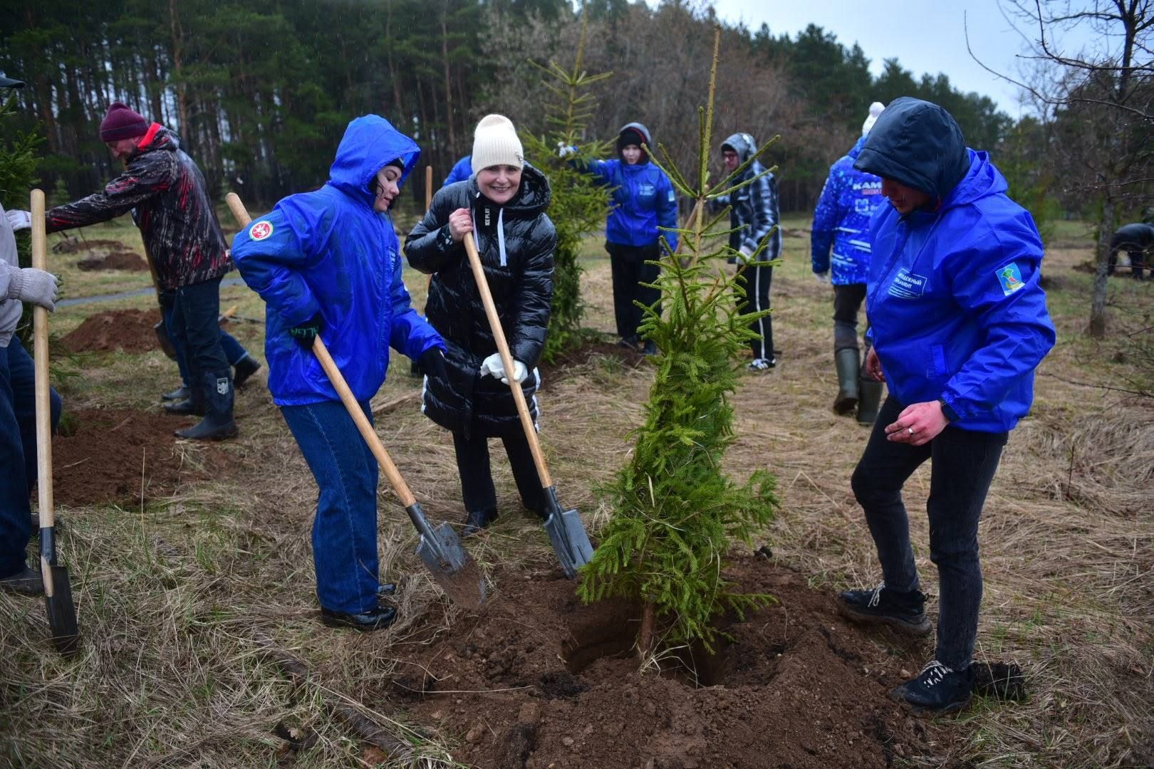 В Челнах на субботнике высадили 300 деревьев, несмотря на дождь