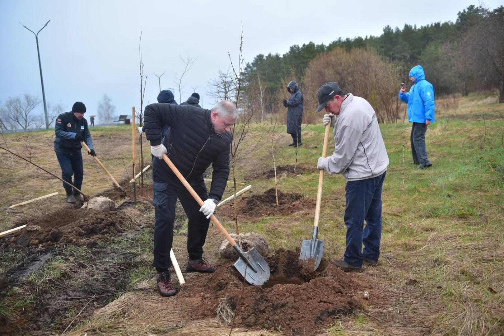 В Челнах на субботнике высадили 300 деревьев, несмотря на дождь