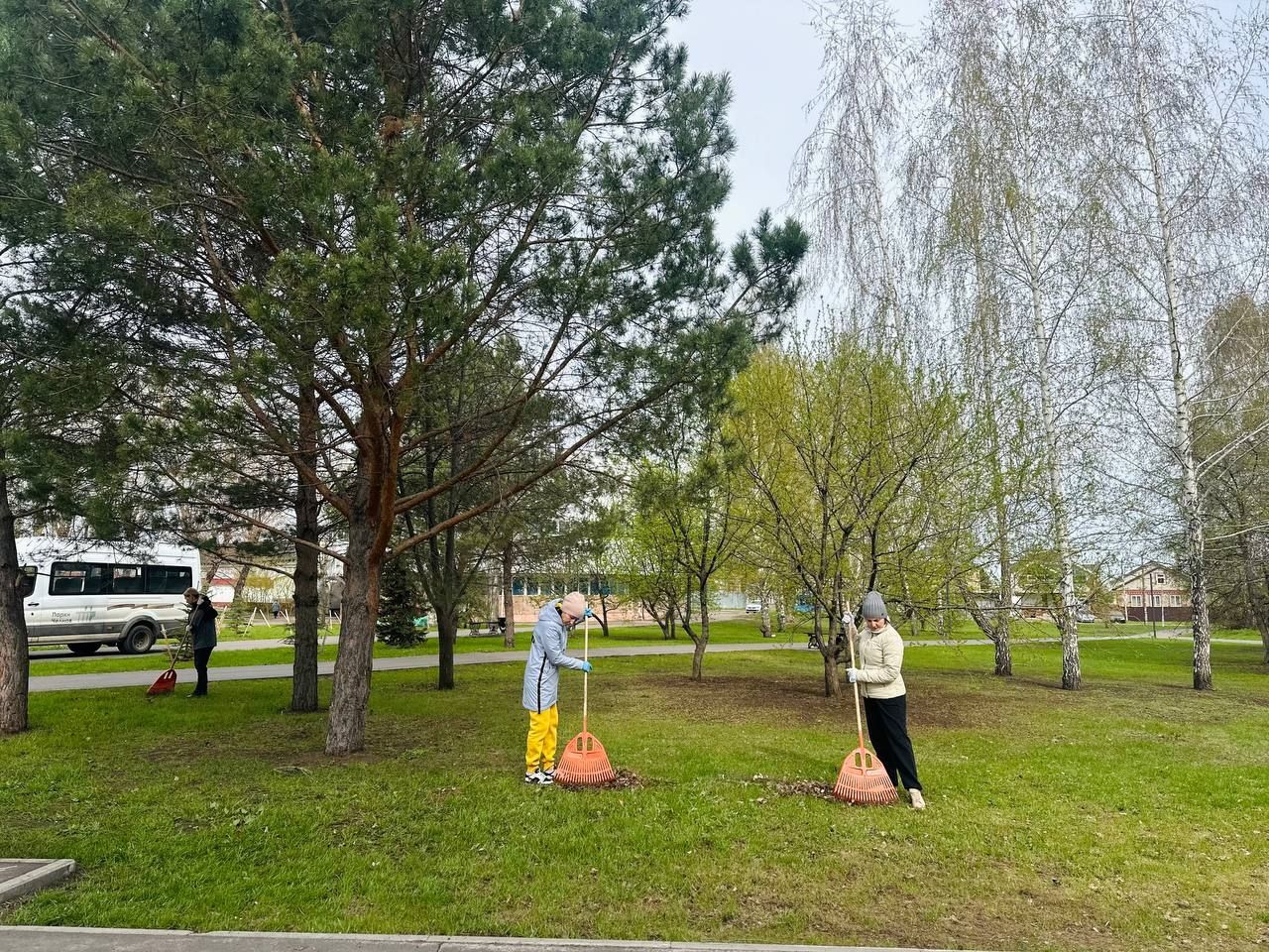 В Челнах на субботнике высадили более 600 деревьев