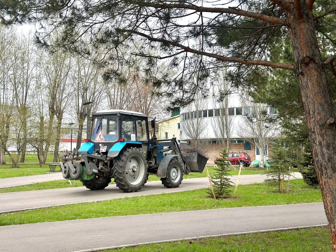 В Челнах на субботнике высадили более 600 деревьев