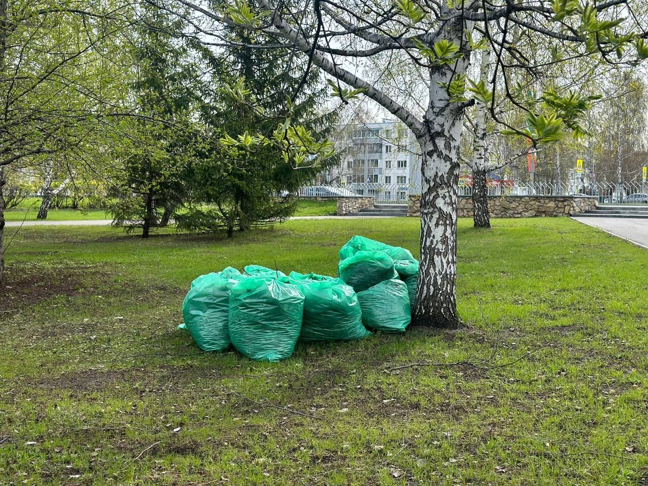 В Челнах на субботнике высадили более 600 деревьев