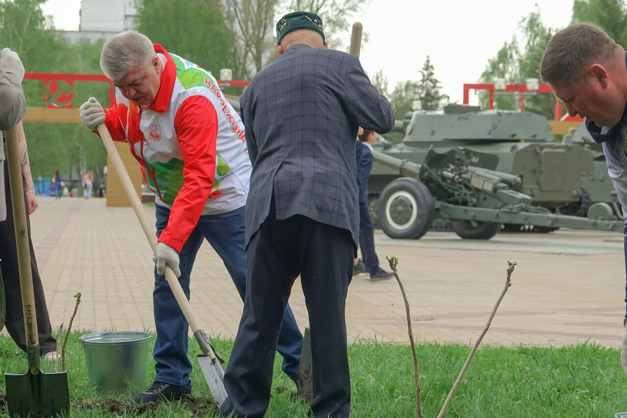 Мэр Челнов и 99-летний ветеран ВОВ посадили саженцы маньчжурского ореха