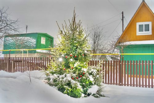 Челнинские дачники создают новогоднюю атмосферу в садовых обществах