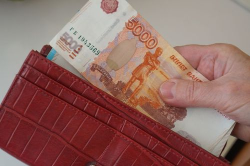 «Рисуют протоколы собраний»: как председатели СНТ занимались припиской зарплат